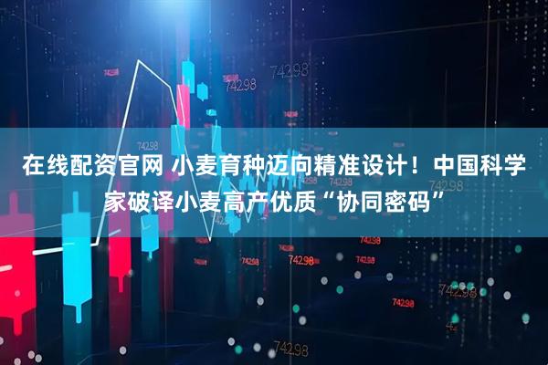 在线配资官网 小麦育种迈向精准设计！中国科学家破译小麦高产优质“协同密码”
