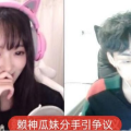 吃瓜主播退网了吗现在还能看吗,退网后还能在线观看吗？