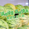 快乐吃瓜军网红康欣,快乐吃瓜军领军人物，揭秘娱乐圈幕后故事