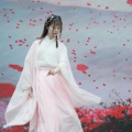 夜市遇上汉服小姐姐是谁,汉服小姐姐的美丽瞬间