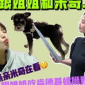 ppl现场小姐姐,PPL活动中的魅力瞬间