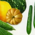 除了吃瓜网还有什么,除了吃瓜网，还有哪些热门资讯平台等你探索