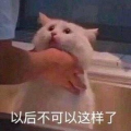 朝阳群众吃瓜网入口微信,微信带你走进神秘社区
