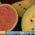 吃瓜网中国,中国网络舆论风向标